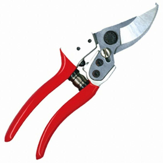 ������ �������� 888