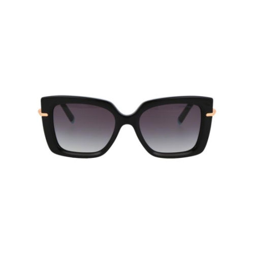 선글라스 0TF4199 80013C black