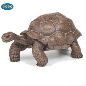 ���� �����ϱ� �����İ��� �ź� 50161 WF428A6