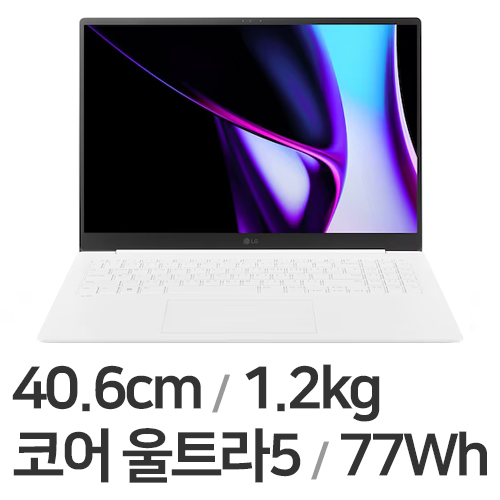 LG전자 2024 그램 프로16 16ZD90SP-GX56K WIN11 (SSD 256GB)