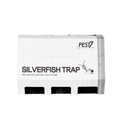 �佺Ʈ���� �ǹ��ǽ� ������Ʈ�� 12����