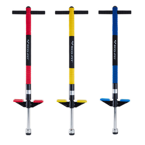 비에스코리아 에코요기 에코핏 포고스틱 BS40