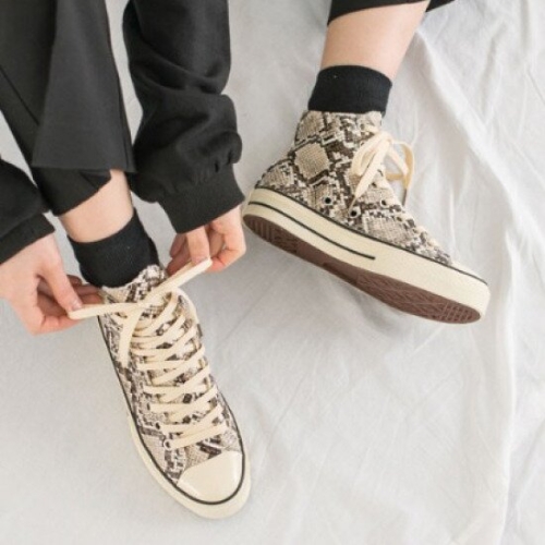 ������ ���� ��Ÿ�� ����ž ĳ�־� ����Ŀ�� RJ-as1909-1