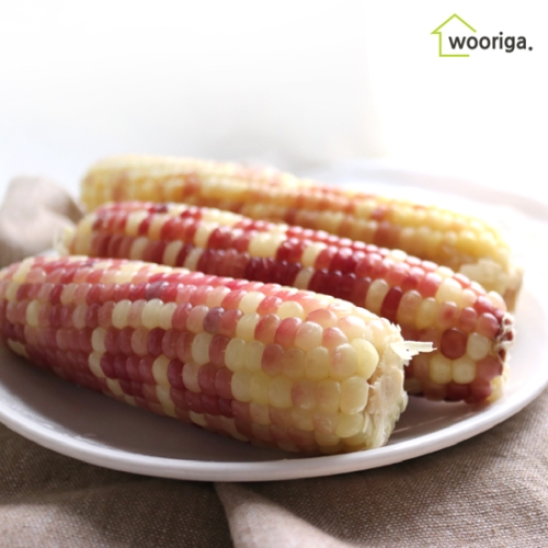 우리가스토리 냉동 삶은 홍찰옥수수 18~20cm내외 (12개)_이미지