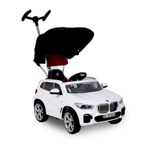 파파야9 BMW X5 푸쉬카_이미지