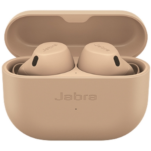 �ں�� ����Ʈ 8 ��Ƽ��