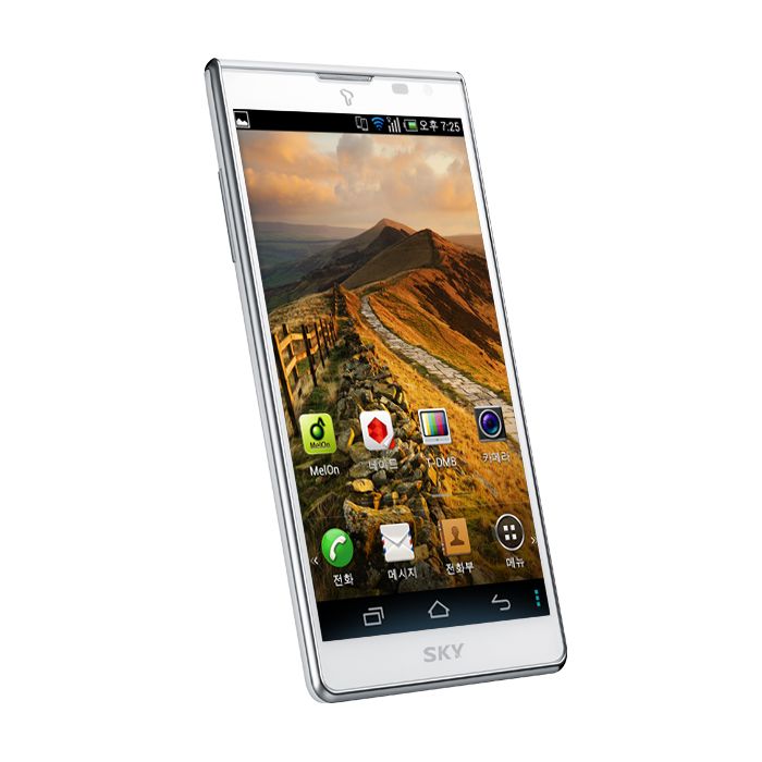 ���� VEGA ����S5, SK�ڸ�ũ �ϳ�