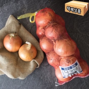 양파 2.5kg 수제망 망