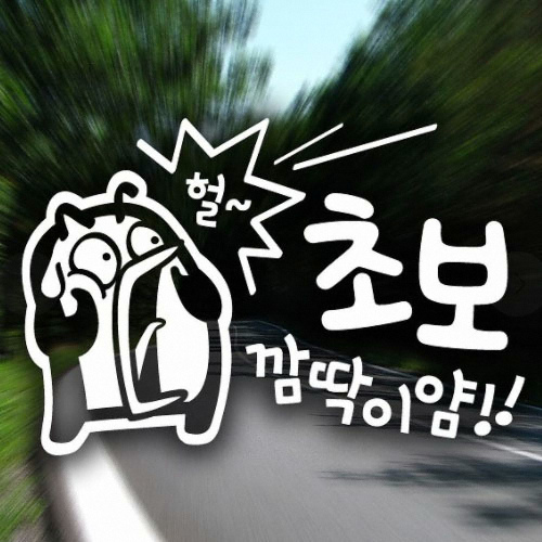 제제데코 초보펭키 깜딱이얌 초보운전 스티커 [반사]