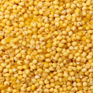  디지팜 찰기장 2kg 상품이미지
