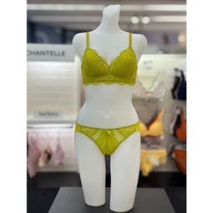 �ٹٶ� �÷η� ���̽� �ﰢ ���� ���_ABR442