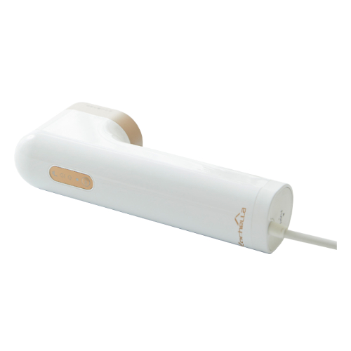 엠앤에스 코첼라 자우버 골드 가먼트 스티머 KLEGS-1000