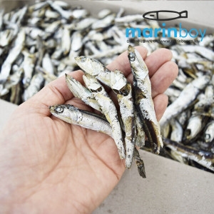 마린보이 남해통영 다시멸치 1.5kg 세멸 지리 고바 꼴뚜기 디포리 고노리 청어 솔치 구수하고 깊은 감칠맛 국물요리