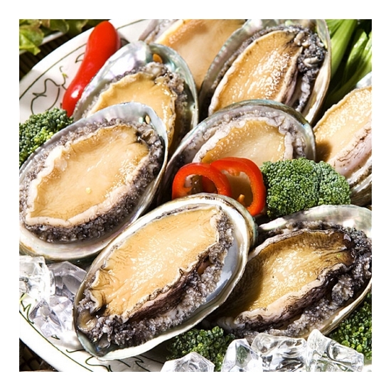 완도 양가네 활전복 22~25개(마리) 1kg (1개)_이미지