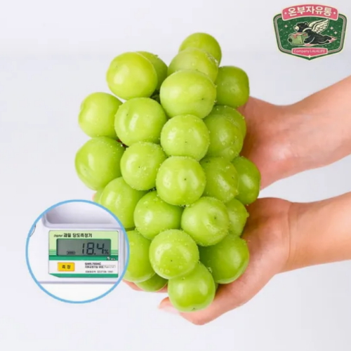 온부자유통 고당도 샤인머스켓 450g~600g
