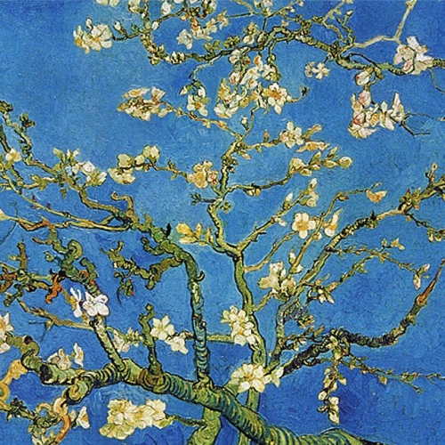 퍼즐라이프 퍼즐갤러리 500조각 직소퍼즐 꽃이 핀 아몬드 나무의 가지들 CA5099A