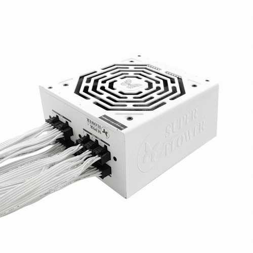 SuperFlower SF-750F14HG LEADEX III GOLD ȭ��Ʈ