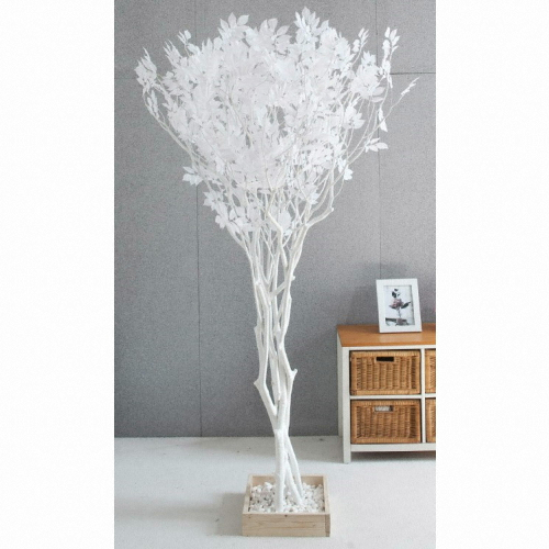 플라워트리 플라워트리 라인_화이트느티나무 FREOFT