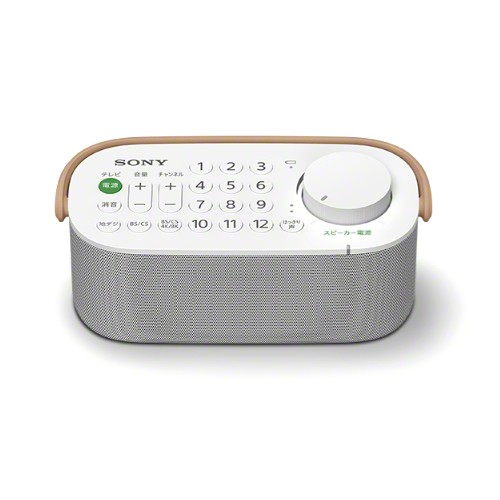 SONY SRS-LSR200 (해외구매)