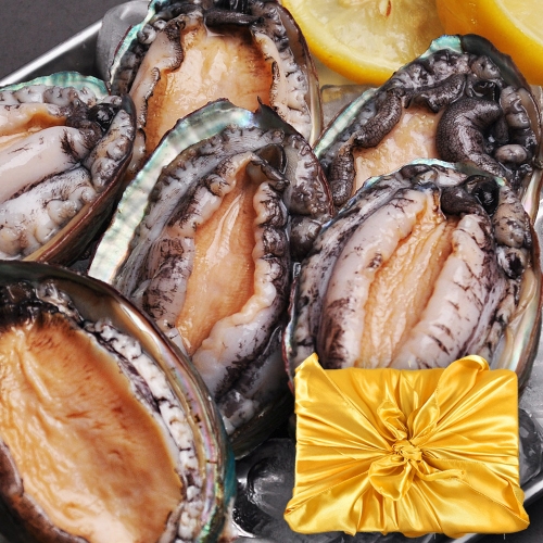 푸르젠 전복 완도직송 활 전복 1kg 대복 9-11미_이미지