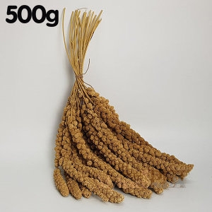 ������ ���ο� �з� �������� 500g/������/�ҵ�������/�з�