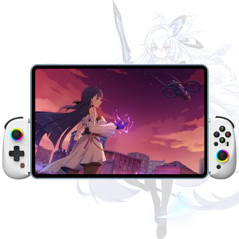 VILCORN D8 ����Ʈ�� �����е�