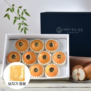 감동 청년농부 나주배 9과 고급 선물세트 7.5kg (1개)_이미지