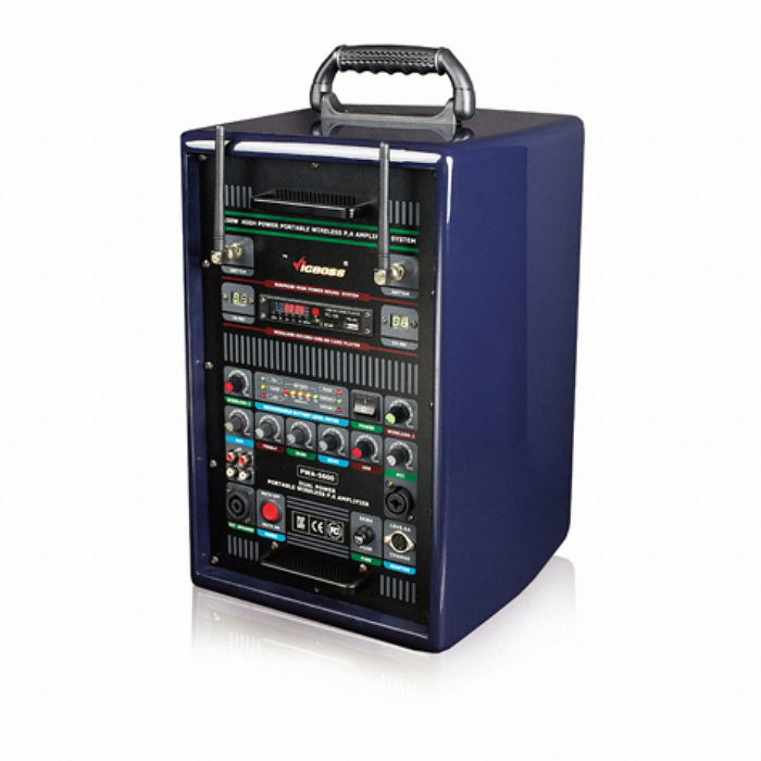 빅보스 PWA-5500