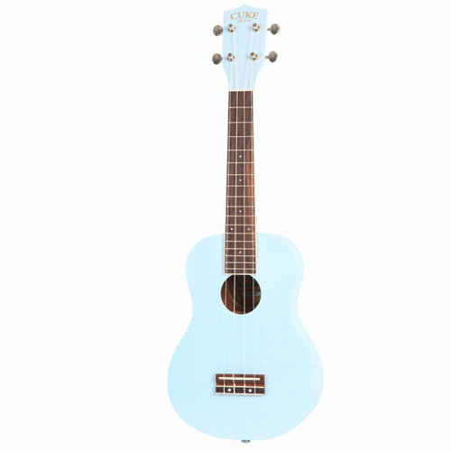 카운티스 CUKE-10CAM MT_이미지