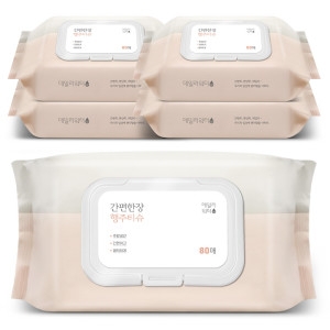  데일리워터 간편한장 행주티슈 캡형 5팩/팩당80매