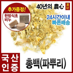 자애인 국산 말린 총백 1200g 파뿌리 총백차 대파뿌리_이미지