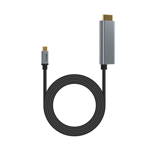 이지넷유비쿼터스 NEXTU DPC8018PD-8K Type C to DP 컨버터