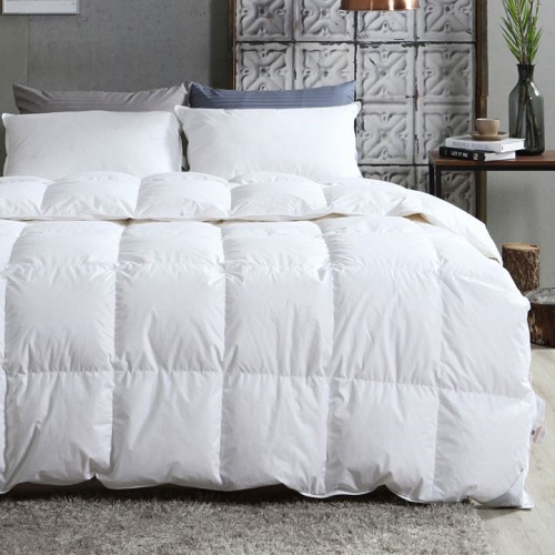 �ٿ�ƼǮ ���Ĵٵ� �����ٿ� 10% ȣ���̺� �ܿ��