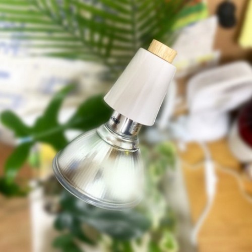 식물전파사 집게 스탠드_이미지