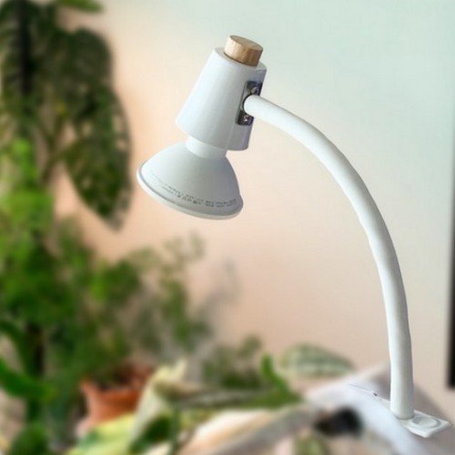 식물전파사 집게 스탠드_이미지