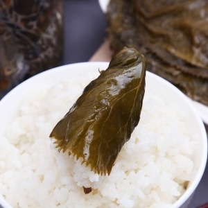 들애초 강원도 홍천 곰취 장아찌 1kg 직접 재배한