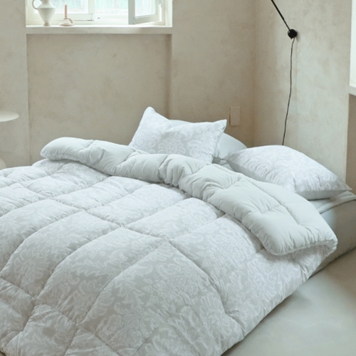 ����ħ�� �ø���Ƶ��� ����� �ƻ� �����̺�