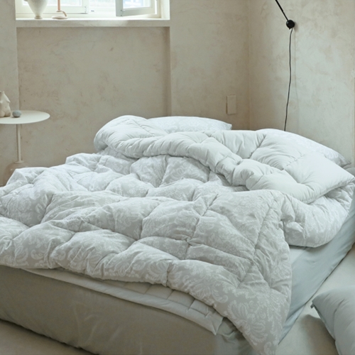 ����ħ�� �ø���Ƶ��� ����� �ƻ� �����̺�