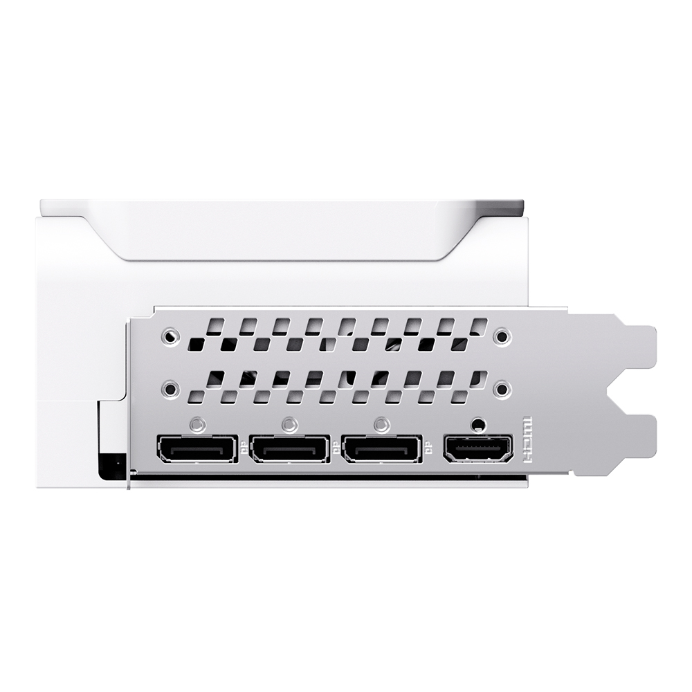 MANLI 지포스 RTX 5080 Polar Fox OC D7 16GB 대원씨티에스_이미지