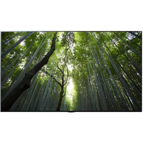 LG전자 QNED 65QNED95KQA (벽걸이)