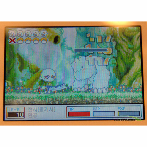 �ؽ� ������ ���丮 DS NDS