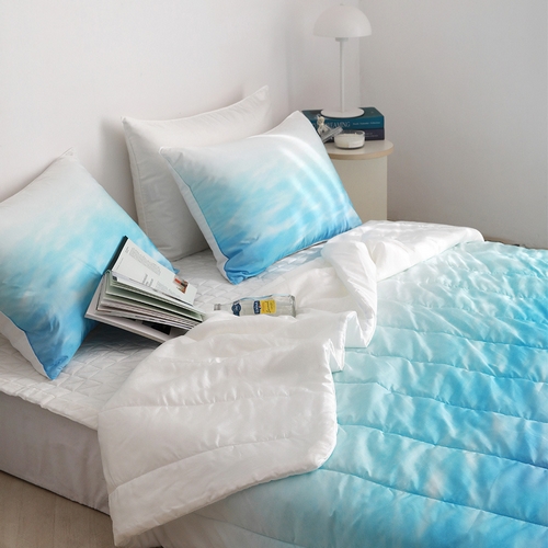 평안 아망떼 모젤 알러지케어 인견 여름차렵이불 패드세트 (퀸 Q)