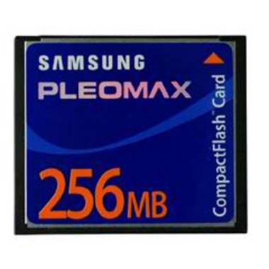 플레오맥스 PLEOMAX CF 80X (256MB)_이미지