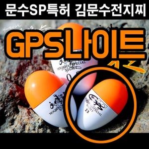 김문수  범나이트 원투 GPS나이트