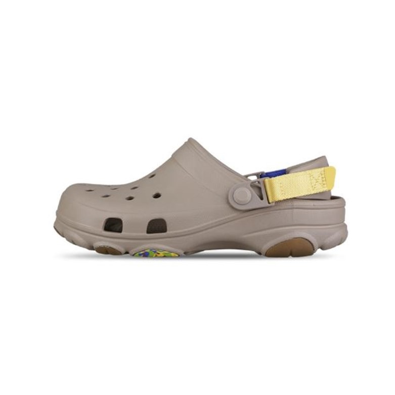 2ZJ, 머쉬룸+멀티이미지입니다. 누르면 해당 게시물로 새창이동합니다.