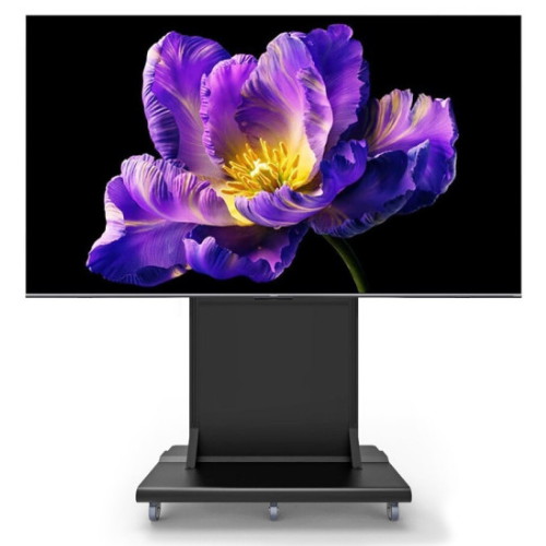 ������ڸ��� EV-BS