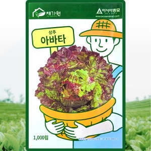 아시아종묘 아바타 상추 씨앗 아바타 상추 씨 종자 1000립