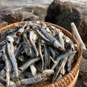 바다어보 통영 다시멸치 1.5kg 형 남해멸치 국물멸치 대멸치_이미지