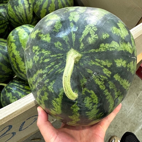 ���̽�Ź ������ ���� �� 6~7kg����