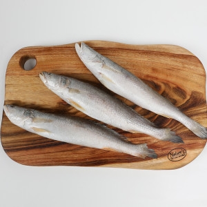 민어조기 뾰조기 뾰족조기 제수용생선 5P26~28cm 5마리_이미지